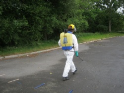 Pesticide training and courses in Devon, Wales, the South West and the UK with Hush Farms.